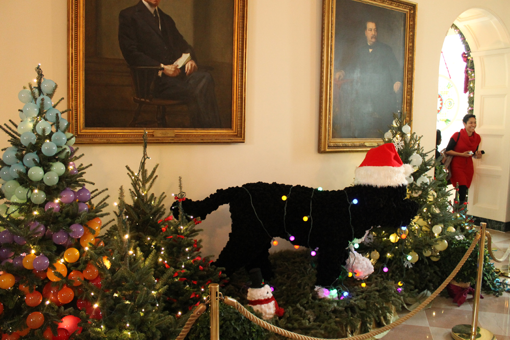 Read more about the article Photo Friday: A Very White House Christmas