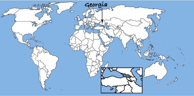 Georgia Map 2