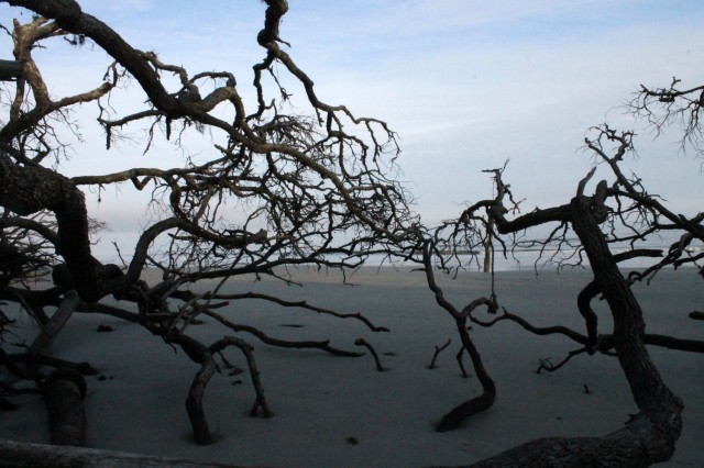 Hunting Island State Park