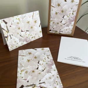 Cherry Blossom Cloud – Greeting Card
