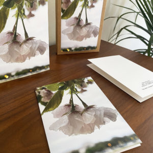 Cherry Blossom Hang – Greeting Card