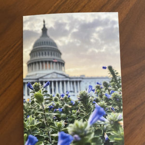 Capitol Flowers – Greeting Card