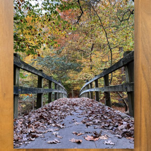 Fall Bridge – Print
