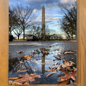 Fall Reflected – Print