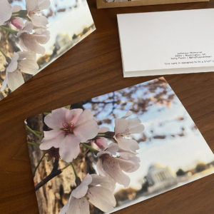 Tidal Basin Bloom – Greeting Card