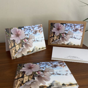 Tidal Basin Bloom – Greeting Card
