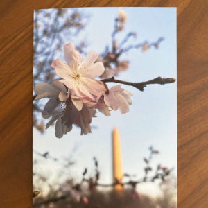 Monument Blossoms – Greeting Card