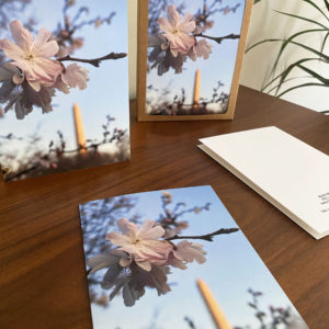 Monument Blossoms – Greeting Card