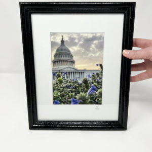 Framed Capitol Flowers Fine Art Print