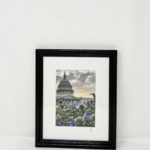 Framed Capitol Flowers Fine Art Print