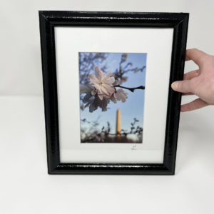 Framed Monument Blossoms Fine Art Print