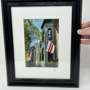 Framed Rows + DC Flag Fine Art Print